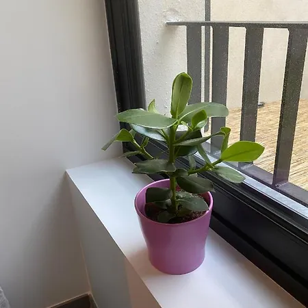 Joli Petit Nid Douillet En Centre Ville La Rochelle  Exterior foto