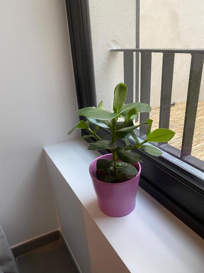Joli Petit Nid Douillet En Centre *