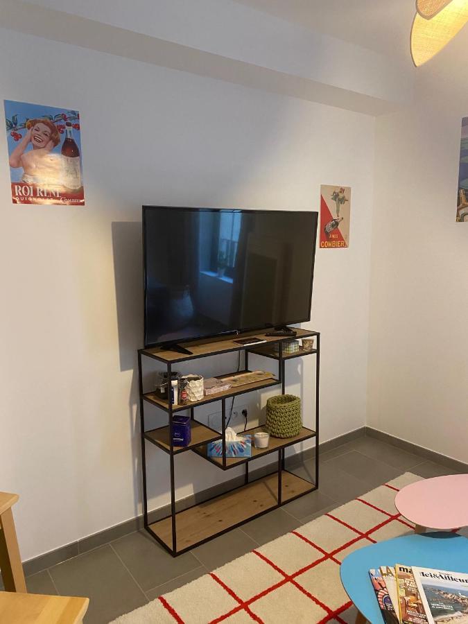 Appartement Joli Petit Nid Douillet En Centre